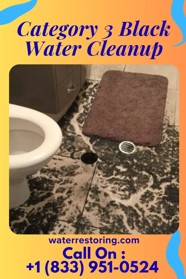 Category 3 Black Water Cleanup in Inola, OK